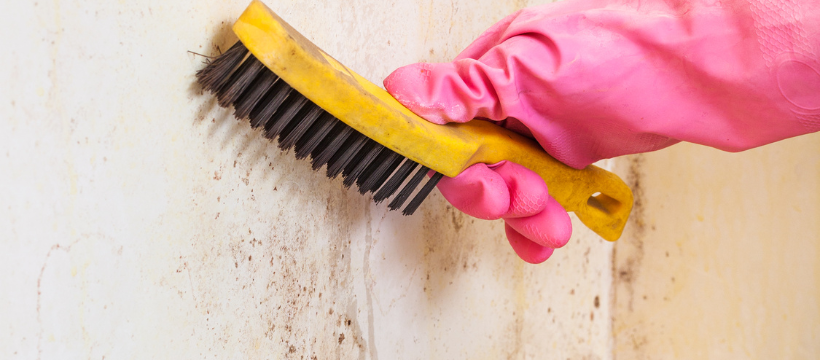 Spot cleaning walls.
